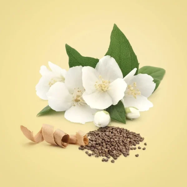 ادو پرفیوم زنانه کلوین کلاین بیوتی Calvin Klein Beauty حجم ۱۰۰ میلیلیتر اصل ادو پرفیوم زنانه کلوین کلاین بیوتی Calvin Klein Beauty حجم ۱۰۰ میلیلیتر اصل