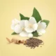 ادو پرفیوم زنانه کلوین کلاین بیوتی Calvin Klein Beauty حجم ۱۰۰ میلیلیتر اصل ادو پرفیوم زنانه کلوین کلاین بیوتی Calvin Klein Beauty حجم ۱۰۰ میلیلیتر اصل