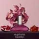 ادو پرفیوم زنانه کلوین کلاین Euphoria اصل ۱۰۰ میل ادو پرفیوم زنانه کلوین کلاین Euphoria اصل ۱۰۰ میل